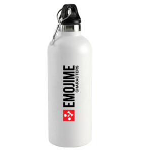 Double Wall Bottle 500ml